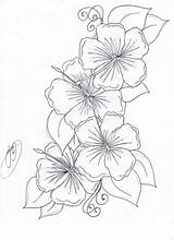 Vine Flower Drawing Flowers Getdrawings sketch template