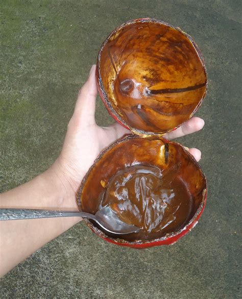 10 Of The Best Native Delicacies In The Philippines