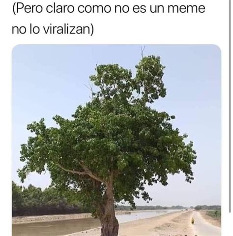 pin de variedades de todo un poco en toxo moroxo 2 memes