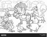 Cartoon Farm Coloring Animals sketch template