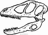 Skull Animal Coloring Pages Deinonychus Getcolorings Color Printable Getdrawings sketch template