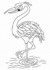 Crane Crowned Red Coloring sketch template