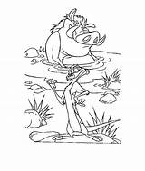 Leeuwenkoning Rey Ausmalbilder Mewarnai Roi Coloriages Leone Colorare Animasi Disneykleurplaten Bergerak 2876 Lowen Konig Films Animate Animaatjes Disneydibujos sketch template