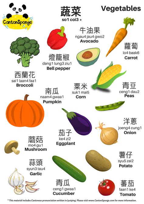 bilingual english chinese vegetables themed poster  clear cantonese jyutping