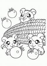 Coloring Hamster Kawaii Pages Animal Print sketch template