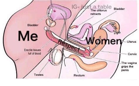 diagram making penis into vagina hot porno
