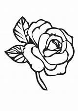 Coloring Pages Roses Mo Rose Colouring Flower Printable Sheets Pag Flowers sketch template