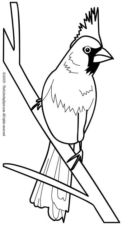 cardinal  audio stories  kids  coloring pages  light