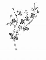 Cherry Blossom Coloring Pages Tree Branch Colouring Clipart Line Clipartbest Popular Printable Coloringhome Library Getcolorings Color sketch template