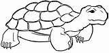 Turtle Coloring Tortoise Quiet Wecoloringpage sketch template