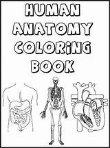 Anatomy Printable Human Coloring Pages Getdrawings sketch template