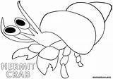 Coloring Hermit Pages Crab sketch template