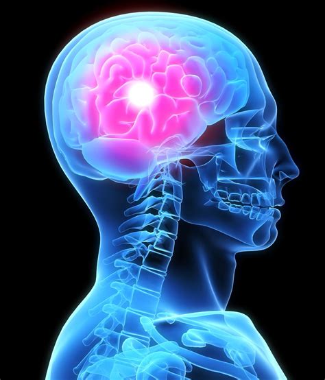 diez curiosidades sobre el funcionamiento del cerebro humano