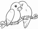 Mewarnai Burung Hewan Sketsa Binatang Diwarnai Peliharaan Lucu Jerapah Katak Lovebirds Putra Putri Fugle Populer Darat Avez Dyr Tegning Kaligrafi sketch template