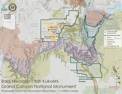 monumental action   grand canyon trout unlimited