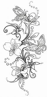 Swirls Butterflies Swirl Metacharis Papillon Coloriage Schmetterling Papillons Malvorlagen Vorlagen Schmetterlinge Coloriages Erwachsene Adultes Mandalas Brandmalerei Vorlage Motyle Blumenranken Seidenmalerei sketch template