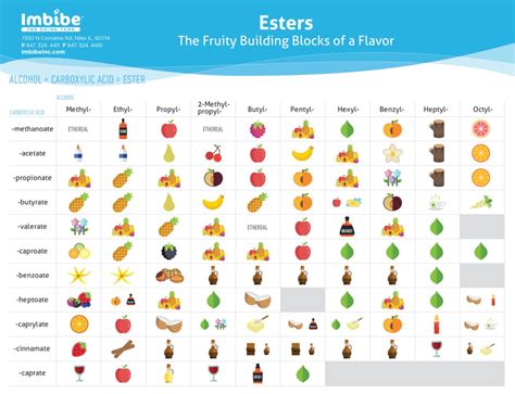 esters  fruity building blocks  flavor imbibe