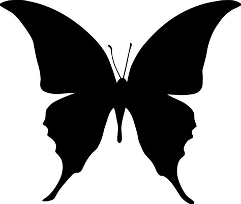 butterfly clipart silhouette butterfly silhouette transparent