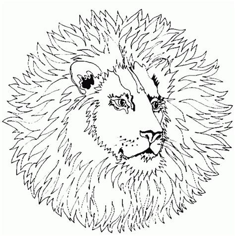 coloring pages animal coloring pages   printable