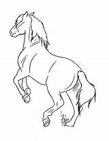 Pony Welsh Rearing sketch template