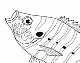 Fish Coloring Tropical Coloringcrew Pages sketch template