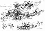 Amphibious Catalina Cutaway Pby Consolidated sketch template