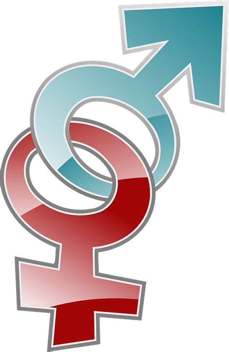 Imagem Vetorial Gratis Feminino Masculino Símbolos