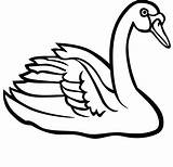 Swan Clipart Clip Drawing Line Tattoo Lake Getdrawings Clipartmag Clipground Cliparts Svg sketch template