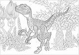 Dinosaurios Dinosaurier Dinosaurs Erwachsene Malbuch Ausmalbilder Velociraptor Malvorlagen Justcolor Zentangle Just Kinder Kinderbilder Stylized Colouring Künstler sketch template