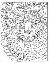 Animals Zendoodle Magnificent Macmillan Barnes Indiebound Powells sketch template