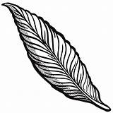Feather Openclipart Lineart Line sketch template