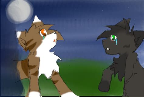 leafpool x crowfeather by mint kitty on deviantart