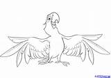 Macaw Pintar sketch template