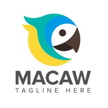 macaw logo images stock  vectors adobe stock