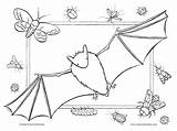 Coloring Cute Bat Bats Pages Treats Tricks Children Print Drawing Kids Template Absolutely Allowed Grown Ups Thank sketch template