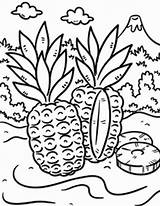 Coloring Tropical Island Pineapple Pages Wild Kids Print Color Designlooter Drawings 777px 92kb Colornimbus sketch template