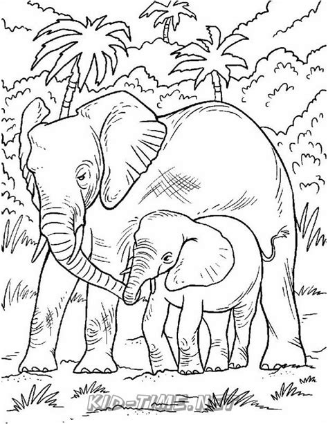 realistic elephant coloring pages  kids time fun places  visit