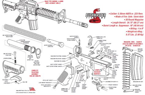 bushmaster  type carbine ar  review