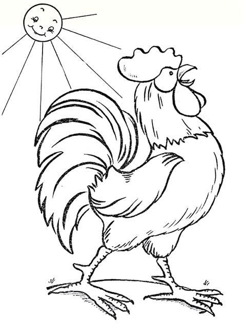 chicken coloring pages  graphics fairy