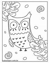 Eule Malvorlage Gufo Pagina Owls Eulen Verbnow Aufmerksam sketch template