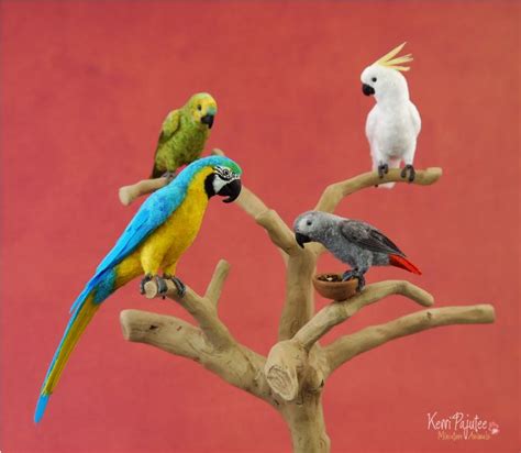 dollhouse miniature parrot group amazon blue gold macaw cockatoo african grey