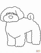 Coloring Pages Bichon Funny Poodle Printable sketch template