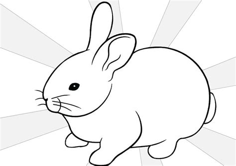 rabbit coloring pages printable  print color craft