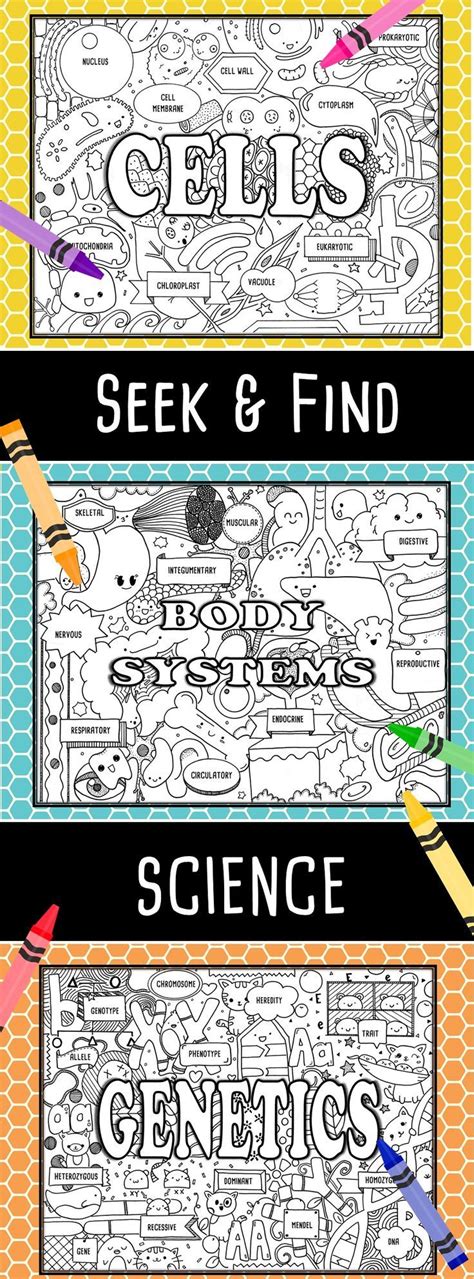 seek find science  perfect  introducing  reinforcing unit