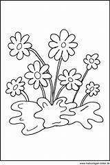 Blumen Malvorlage Blume Malvorlagen Fensterbild Blueten Datei sketch template