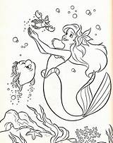 Disney Walt Coloring Pages Ariel Flounder Sebastian Fanpop Characters Princess sketch template