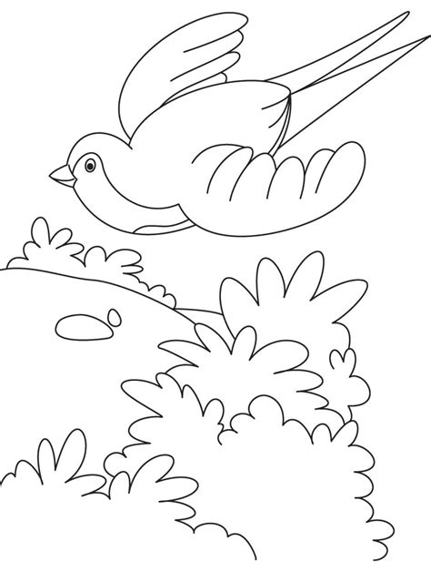flying swallow bird coloring page    flying swallow