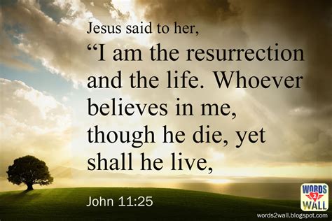 resurrection   life  bible desktop verse wallpaper