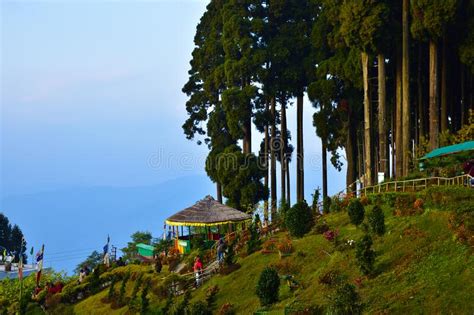 mount kanchenjunga and darjeeling stock image image of