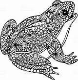 Frosch Tiere Ausmalen Malvorlage Ausmalbilder Outline Malvorlagen Kinder Illustrationen Lesen Ornamente sketch template